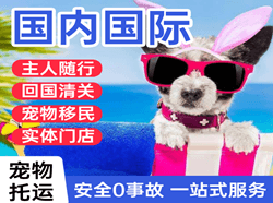 运城张孝空运国际宠物托运 【国